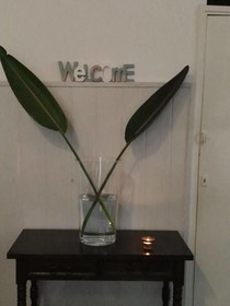 Hostal Dragonfly BCN