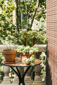 La Casa Gran Barcelona B&B
