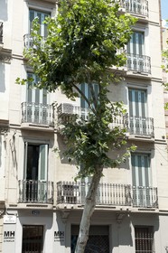 MH Apartments Sagrada Familia