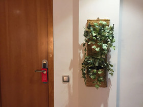 Pension Hostal Apolo