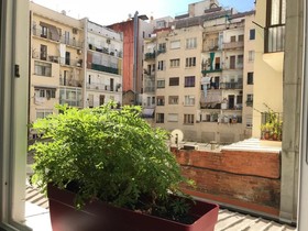 Pension Hostal Apolo