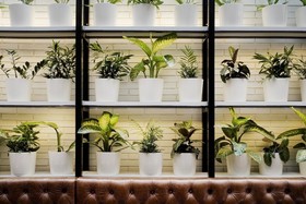 Praktik Bakery