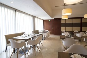 Hotel Zenit Borrell