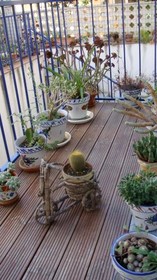 Hotel Blauet