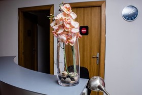 Cool And Chic Hostel