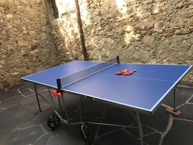 Paratgea