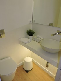 Homenfun Luxury House