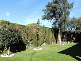 Homenfun Luxury House
