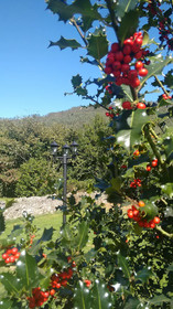 Posada El Trasmerano