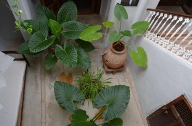 Casa Spa del Renacimiento