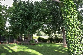 Casas Rurales los Cortijos