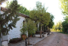 Casas Rurales los Cortijos