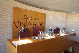 Hotel Château Viñasoro