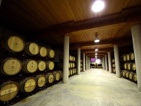 Hotel Château Viñasoro