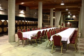 Hotel Château Viñasoro