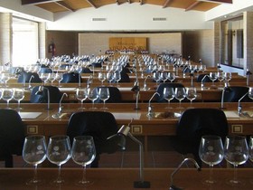 Hotel Château Viñasoro