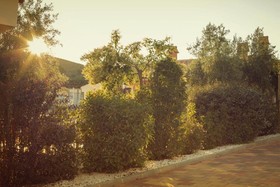 Latejera