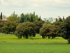 Finca Piedras Menaras