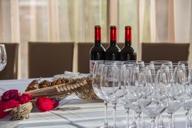 Hotel Santa Eulalia Puertollano