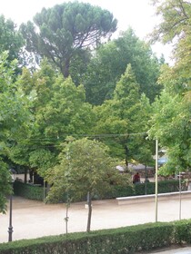 Apartamentos Alameda