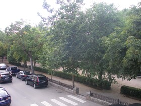 Apartamentos Alameda