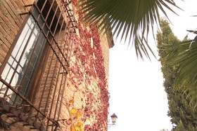 Casa Rural Rincón de la Fuente