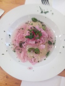 Nuevo Hotel Vista Alegre