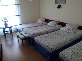 Nuevo Hotel Vista Alegre