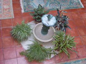 Domus Selecta Torremilanos