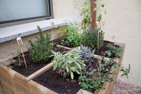 María Pacheco Hotel Boutique