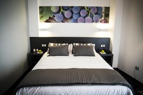 Hotel Forum Evolución