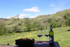 Candelaria Experience