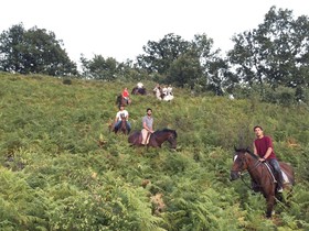 Candelaria Experience