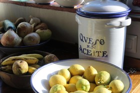 Candelaria Experience