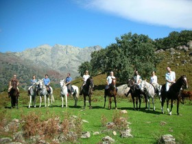 Candelaria Experience