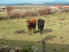 La Posada de Gallegos