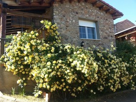 Casa El Rincón De La Rosa 1