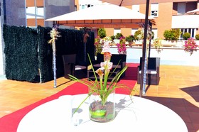 Fc Infantas de León