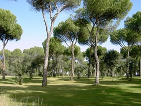 Posada Real Del Pinar