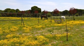 Posada Real Del Pinar