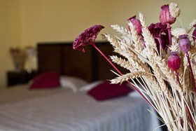 Posada Real Del Pinar