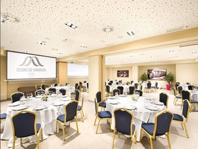 Sercotel Ciudad De Miranda Hotel