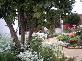 Tierra de Campos