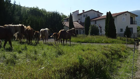 Remanso del Rio Razon