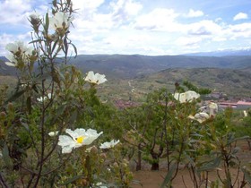 Hotel Rural Sierra de Francia