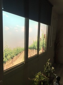 La Vina De Rueda