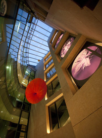 Nexus Valladolid