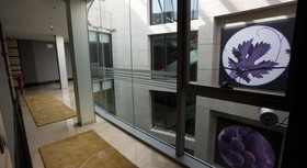 Nexus Valladolid