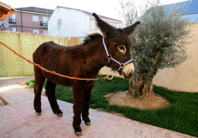 Posada Los Condestables