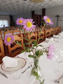 Hotel Rural Villa de Vinuesa